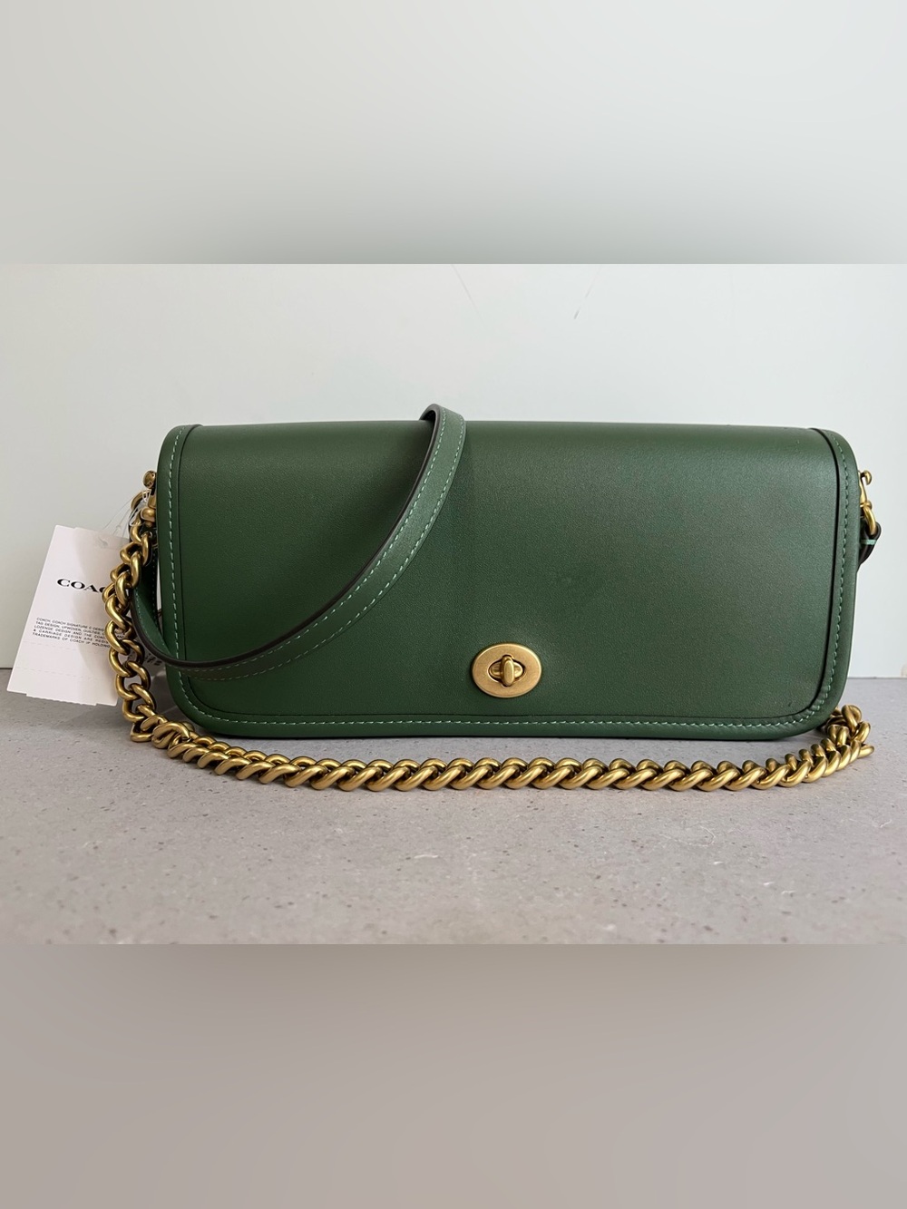 NWT Coach The Dinky Shoulder Bag Gold Chain/Hunter Green Leather LIMITED CW641 - Picture 7 of 13